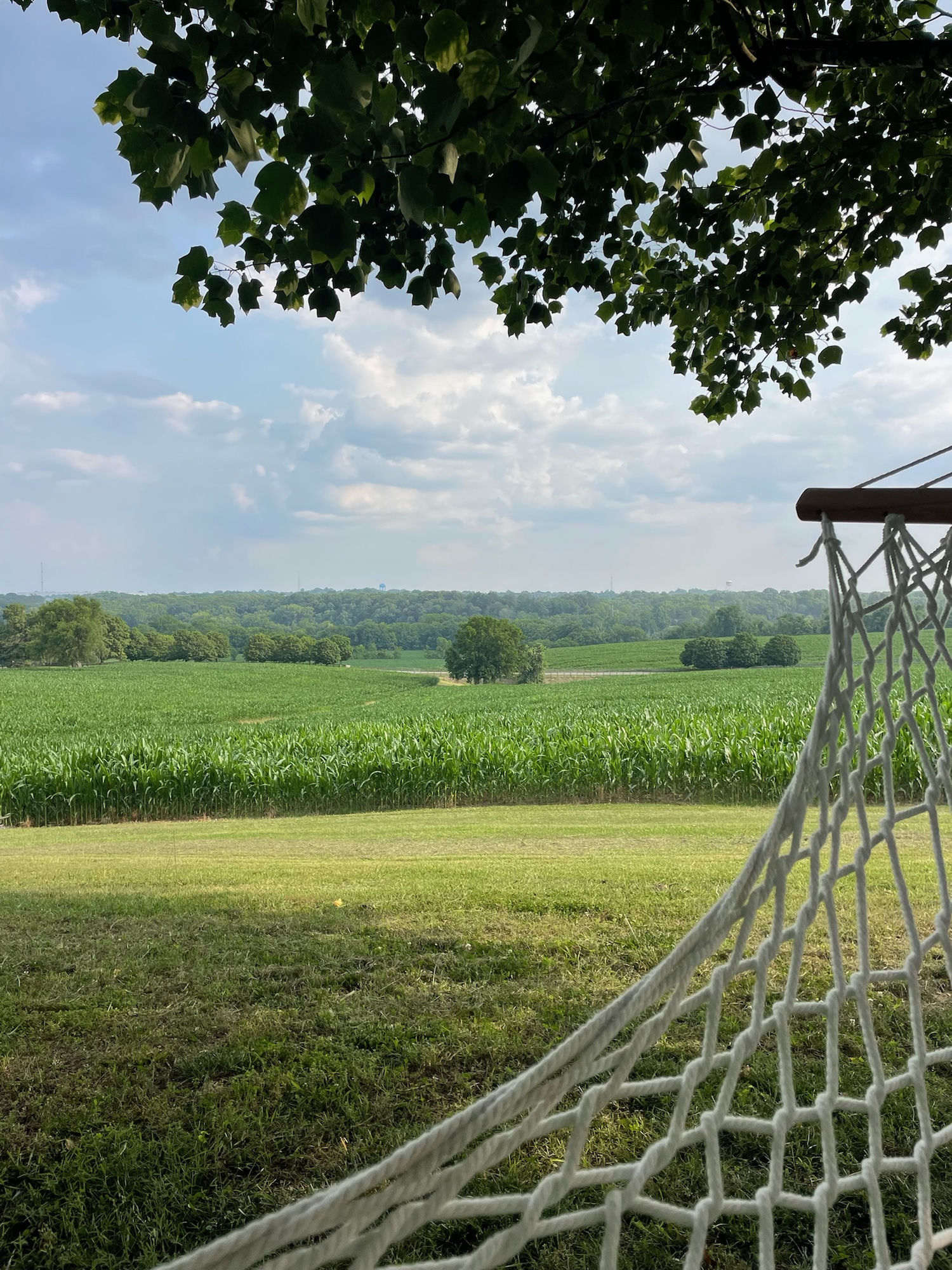 Hammock overlooking the cornfields